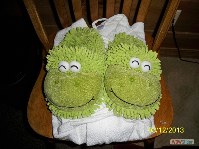 frogslippers